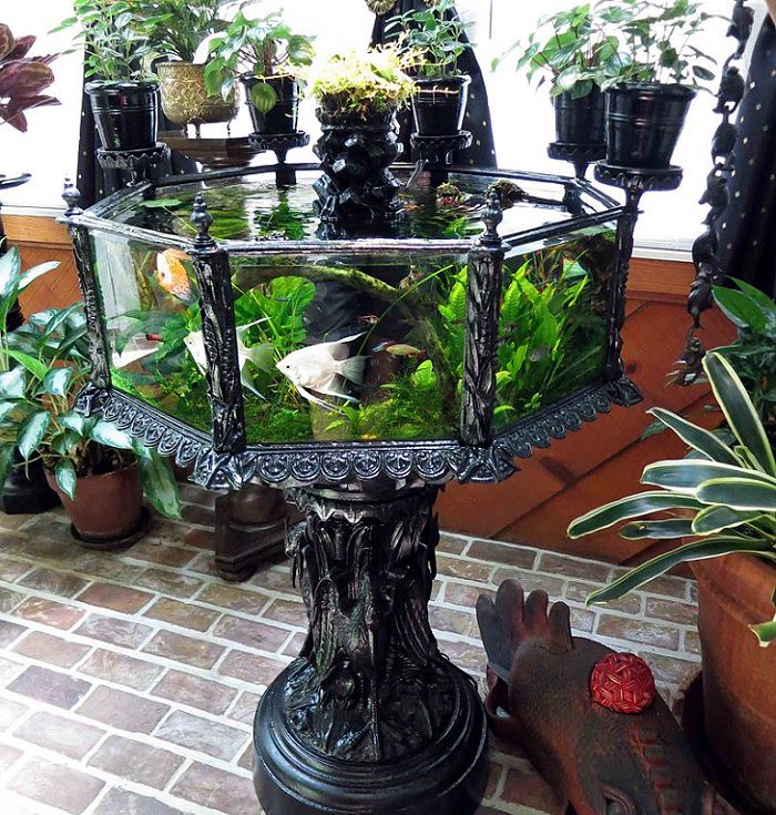 Creative and Unusual Aquariums with an interesting design, an antique cast iron aquarium made in the 1880's