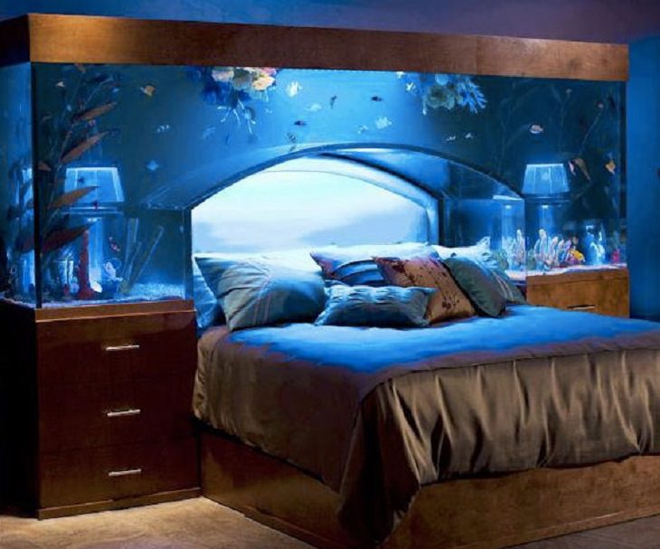 Creative and Unusual Aquariums with an interesting design, aquarium designed with a bed