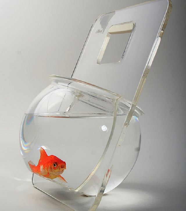 Creative and Unusual Aquariums with an interesting design, portable fish bowl