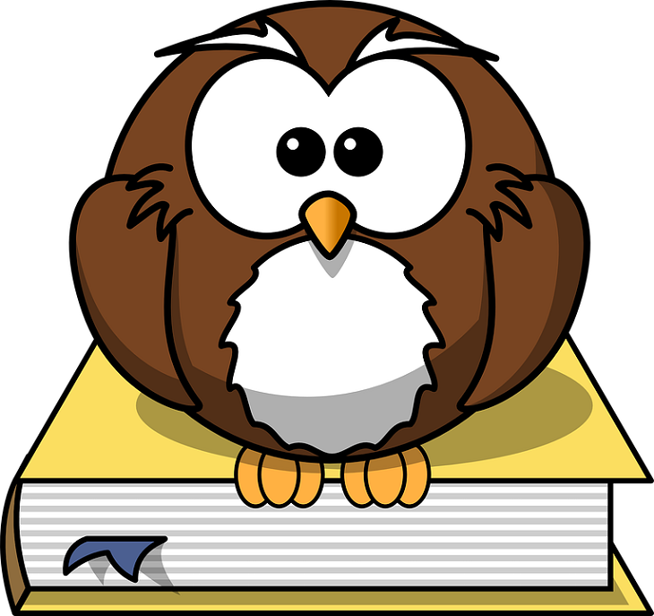 Thesaurus owl sitting on a book