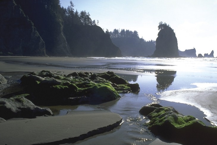 Incredible destinations, structures, monuments, and natural landscapes listed as UNESCO World Heritage Sites, Olympic National Park, Jefferson, Clallam, Mason, and Grays Harbor counties, Washington
