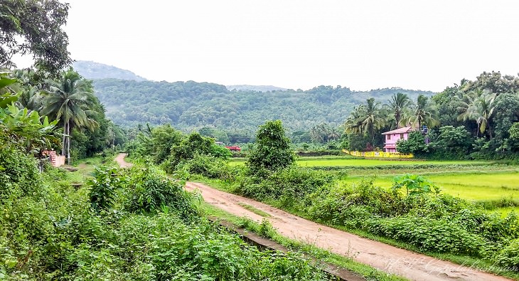 Sights and must-see destinations in the tourist state in India, Kerala, also known as God’s Own Country, Road to Chenangad Village near Ottappalam district