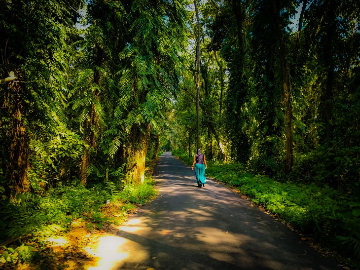 Sights and must-see destinations in the tourist state in India, Kerala, also known as God’s Own Country, Walking paths inside Kumarakom Bird Sanctuary