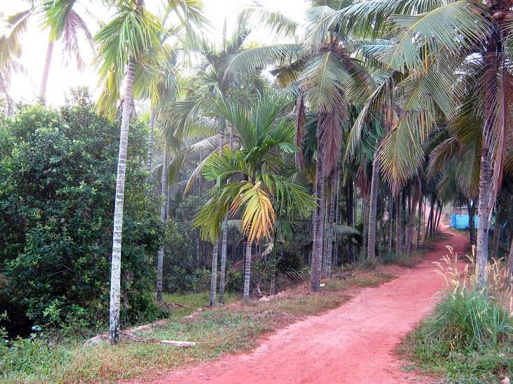 Sights and must-see destinations in the tourist state in India, Kerala, also known as God’s Own Country, Elayavoor village in Kannur