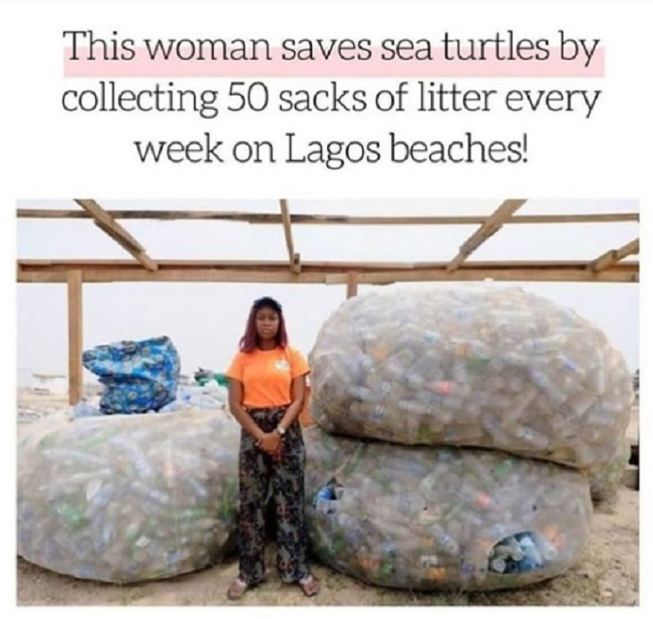 Wholesome and heartwarming pictures and stories, woman saves sea turtles by cleaning up tonnes of litter