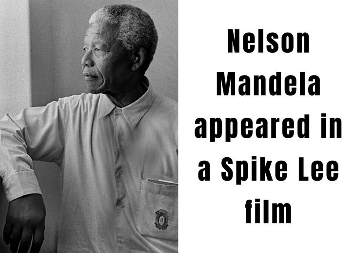 Nelson Mandela facts, Malcolm X appearance