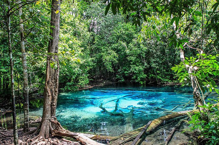 The sights, destinations and fun activities of cultural hub and land of beaches, Krabi in Thailand, The Emerald Pool in Khao Phanom Bencha National Park