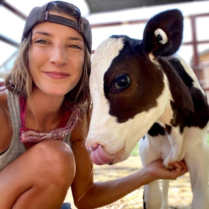 Photographs of cows being cute and funny like dogs, Girl in cap petting brown and white calf with extremely big eyes