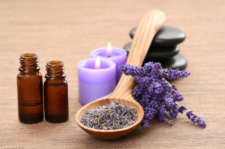 Natural remedies for bug repellents and getting rid of pests in the house and outside, Essential oil Sprays, Lavender Oil