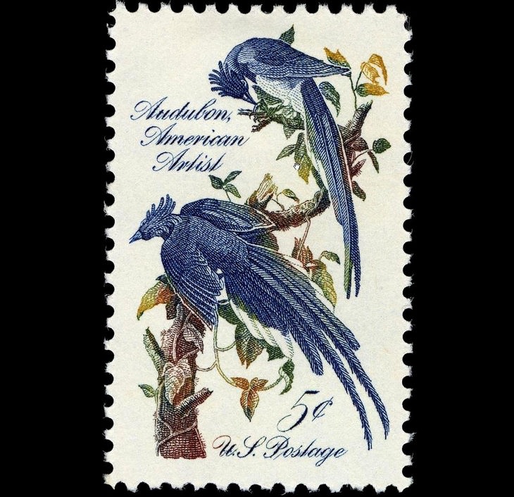 Notable Works of Art by famous painters and artists found on U.S Postal Stamps, Columbia Jays, by John James Audubon