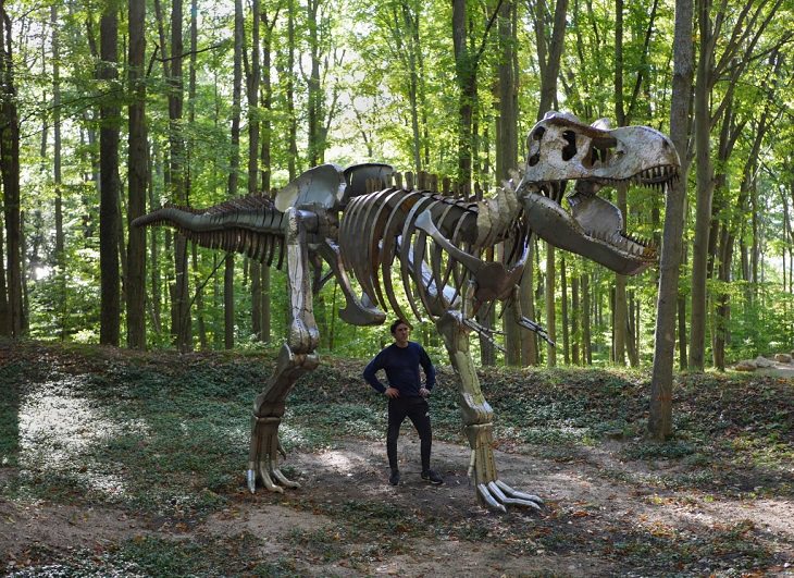 Creative and spooky halloween decorations from 2020, Skeleton of a T-Rex
