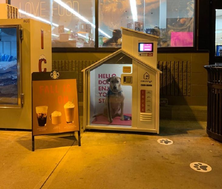 Innovative and unique creative designs and concepts from around the world, Dogspots for every season, equipped with AC’s and heaters, so shoppers can leave their pets comfortable.
