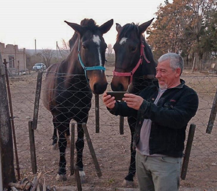 Clever and funny dads that win at parenting, Man showing phone to two horses behind a fence