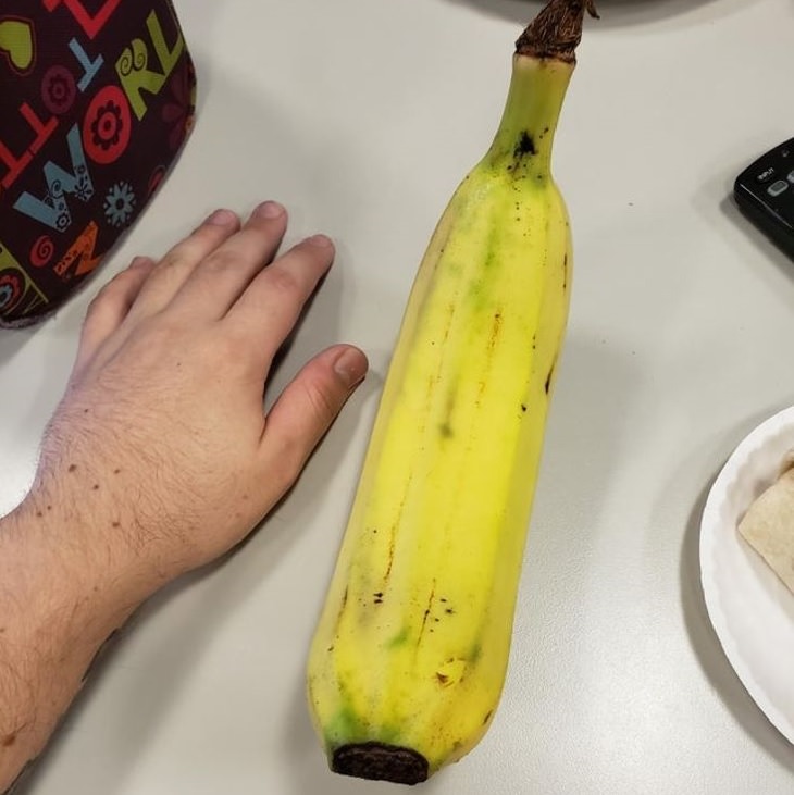 Fruits and vegetables of various big and small sizes, Huge banana next to arm and hand for scale.