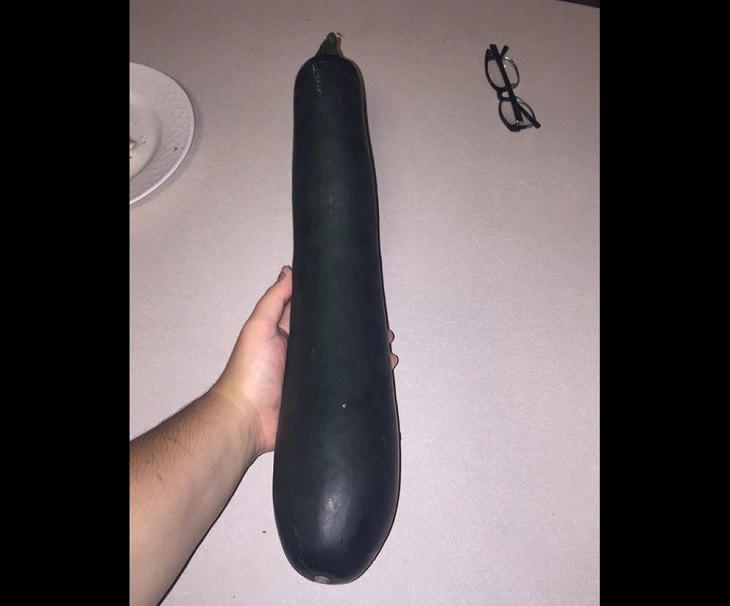 Fruits and vegetables of various big and small sizes, Extremely long and large eggplant