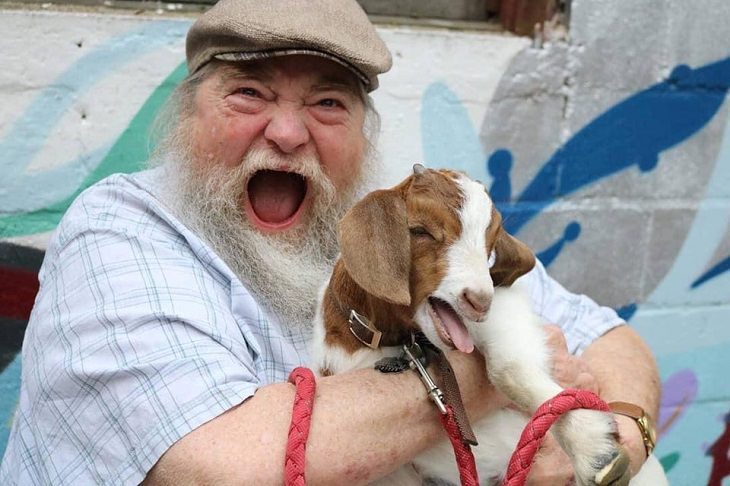 Clever and funny dads that win at parenting, Father with white hair and beard with an expression of pure joy, holding a baby goat