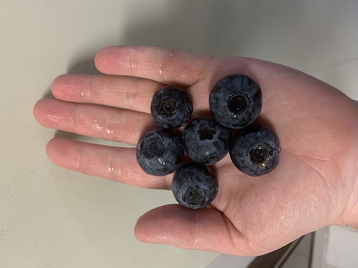 Fruits and vegetables of various big and small sizes, Large blueberries in hand