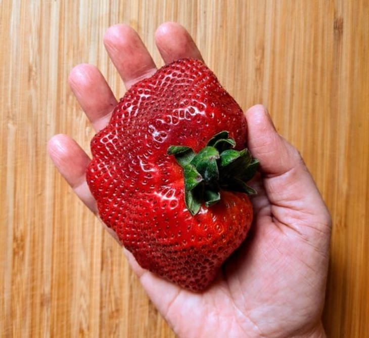 Fruits and vegetables of various big and small sizes, Strawberry the size of hand