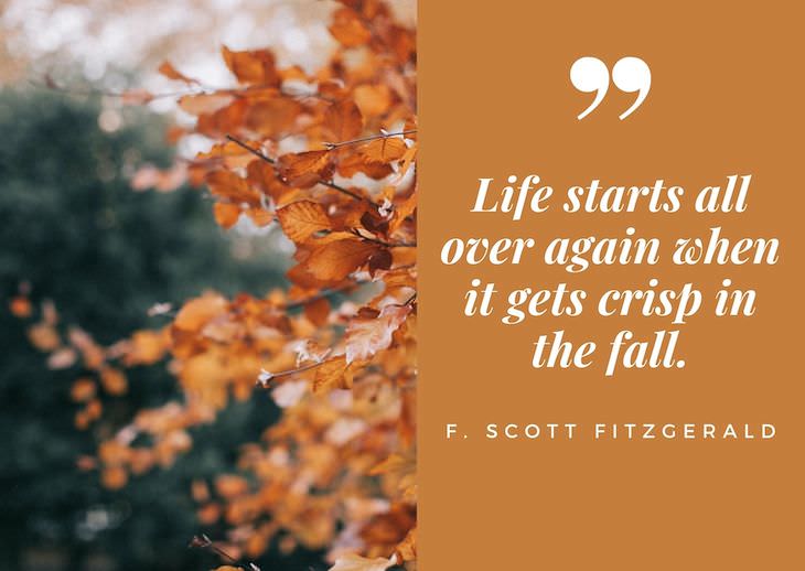 Quotes abour fall, "Life starts all over again when it gets crisp in the fall" - F. Scott Fitzgerald