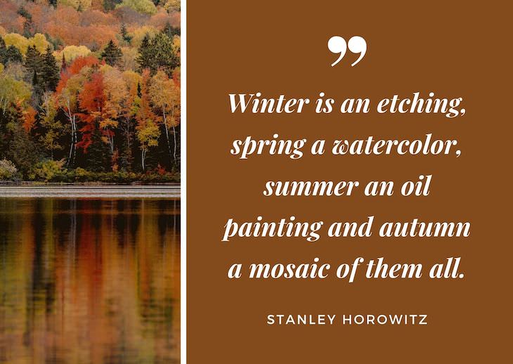 Quotes abour fall, "Winter is an etching, spring a watercolor, summer an oil painting and autumn a mosaic of them all."  - Stanley Horowitz