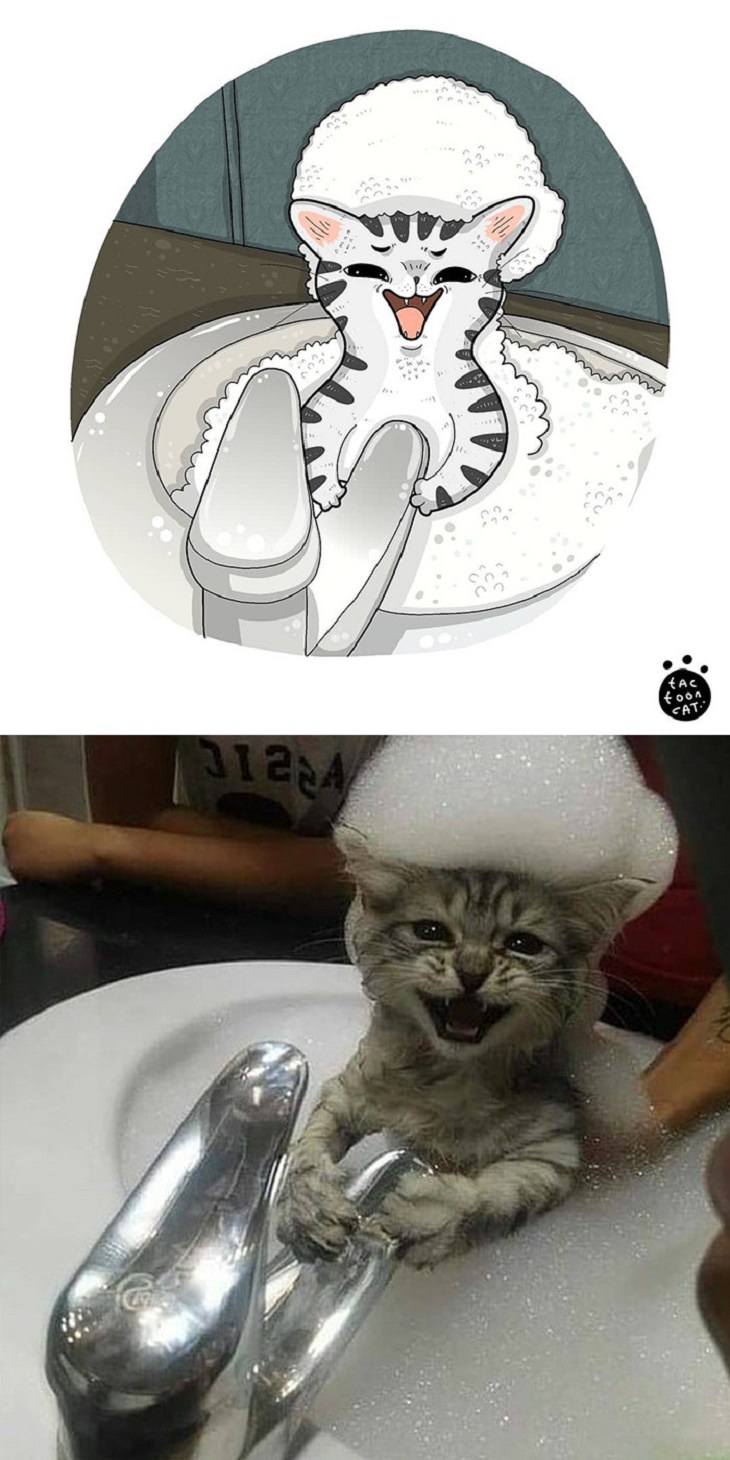 Cartoons of famous funny internet cats by Indonesian artist Tactooncat, Illustration and picture of a kitten in a sink with soap foam on its head