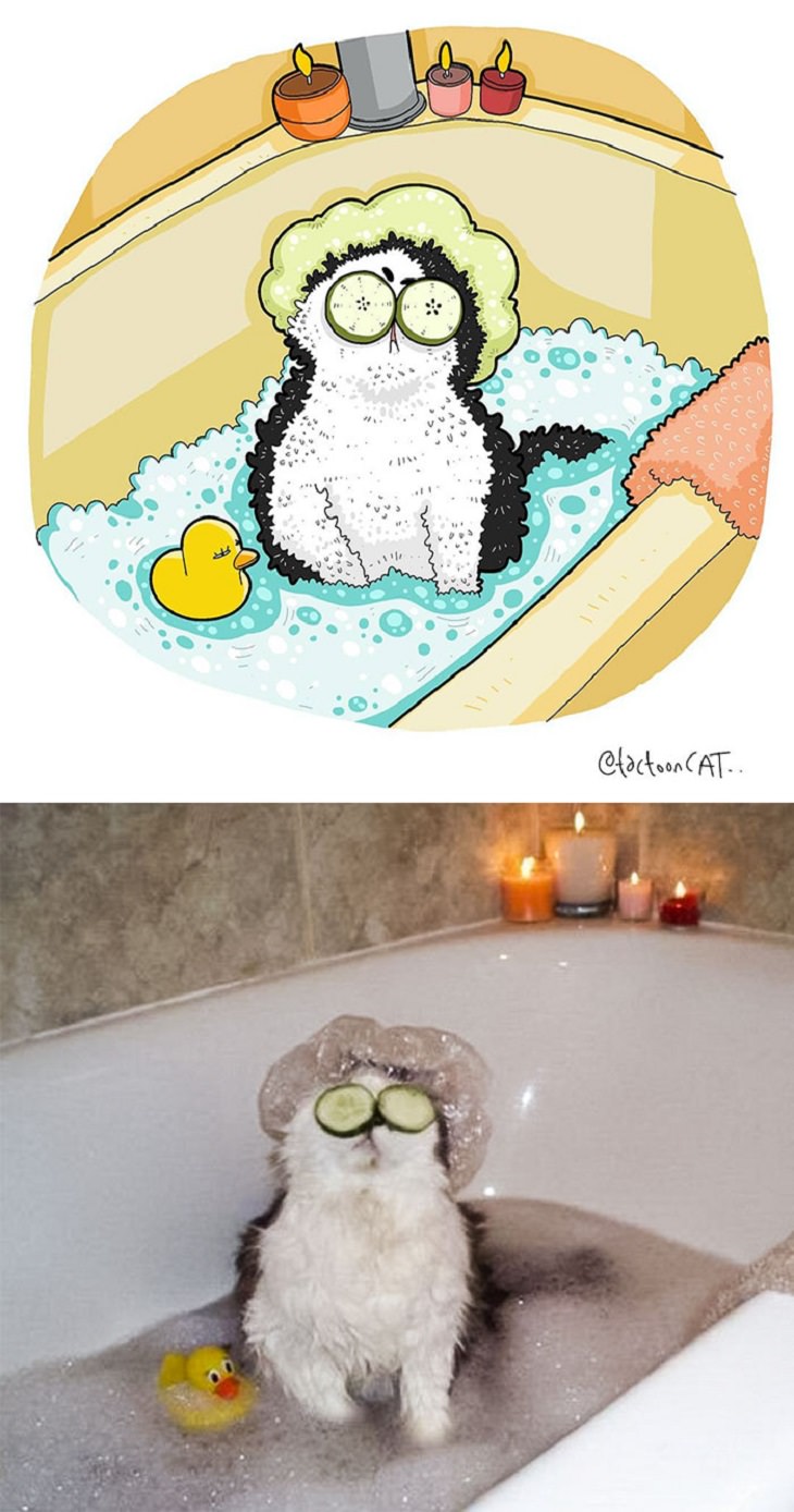 Cartoons of famous funny internet cats by Indonesian artist Tactooncat, Illustration and picture of a cat in a bathtub with cucumbers on their eyes