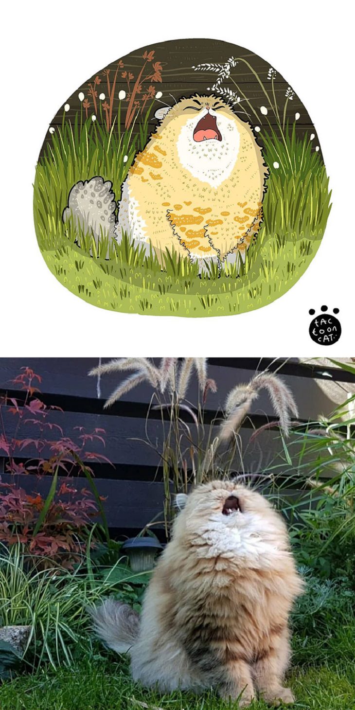 Cartoons of famous funny internet cats by Indonesian artist Tactooncat, Illustration and picture of a cat standing on grass about to cry