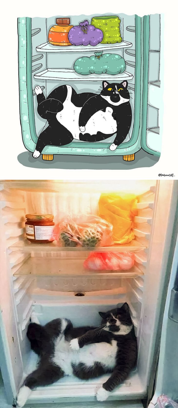 Cartoons of famous funny internet cats by Indonesian artist Tactooncat, Illustration and picture of a black and white cat in the bottom shelf of fridge