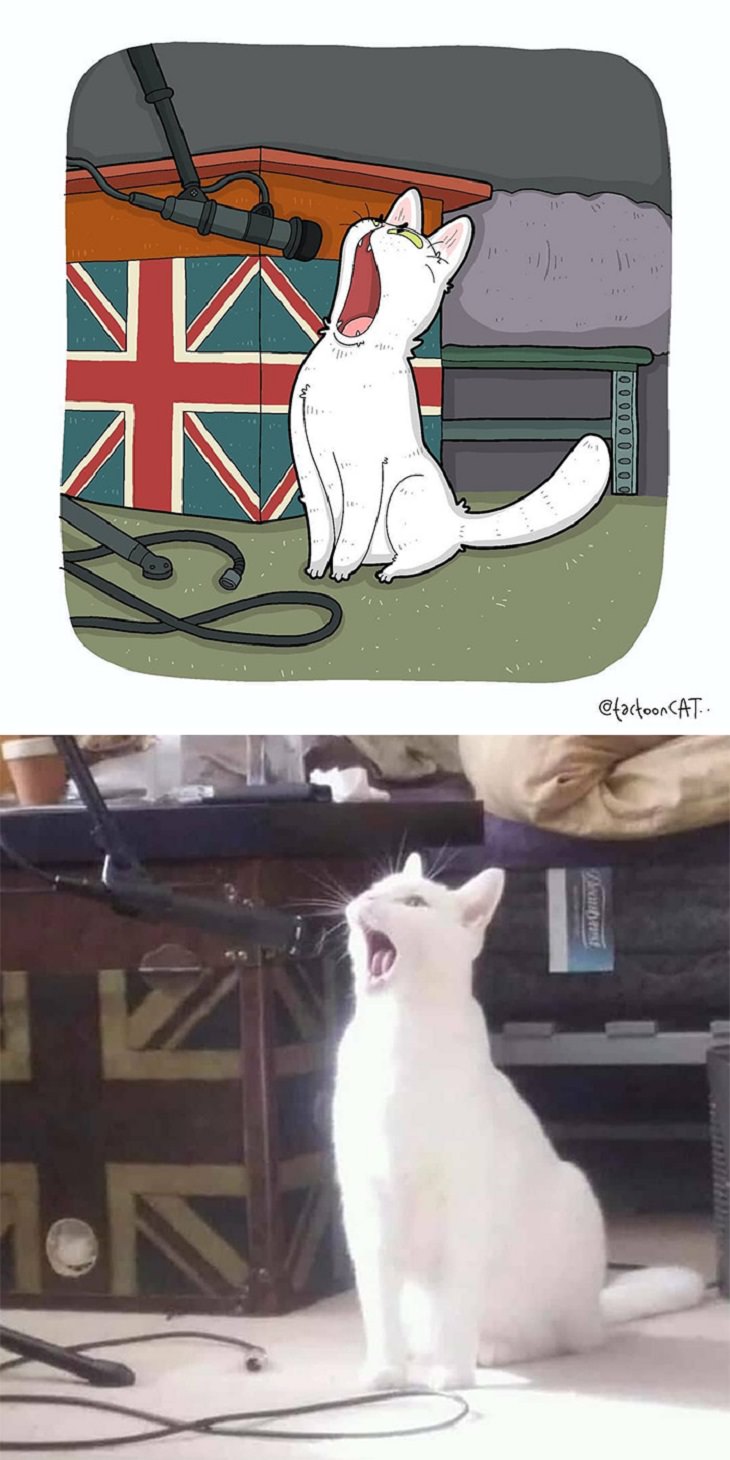 Cartoons of famous funny internet cats by Indonesian artist Tactooncat, Illustration and picture of a white cat in front of a microphone with its mouth wide open