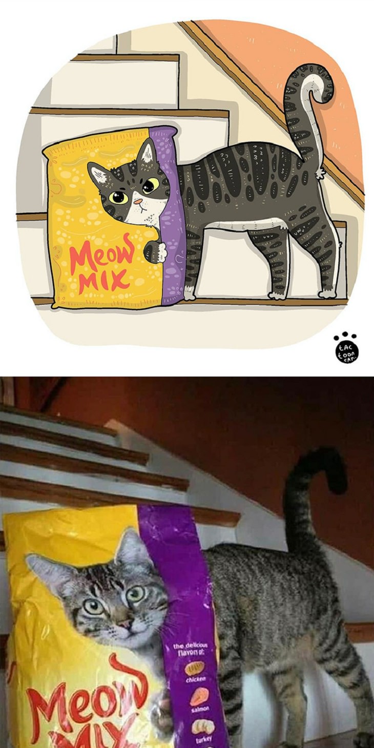 Cartoons of famous funny internet cats by Indonesian artist Tactooncat, Illustration and picture of a cat behind a bag of cat food