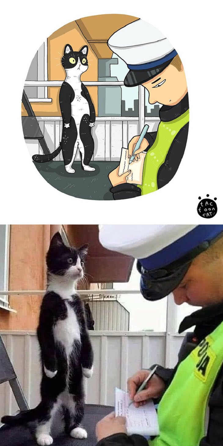 Cartoons of famous funny internet cats by Indonesian artist Tactooncat, Illustration and picture of a cat standing and officer writing note