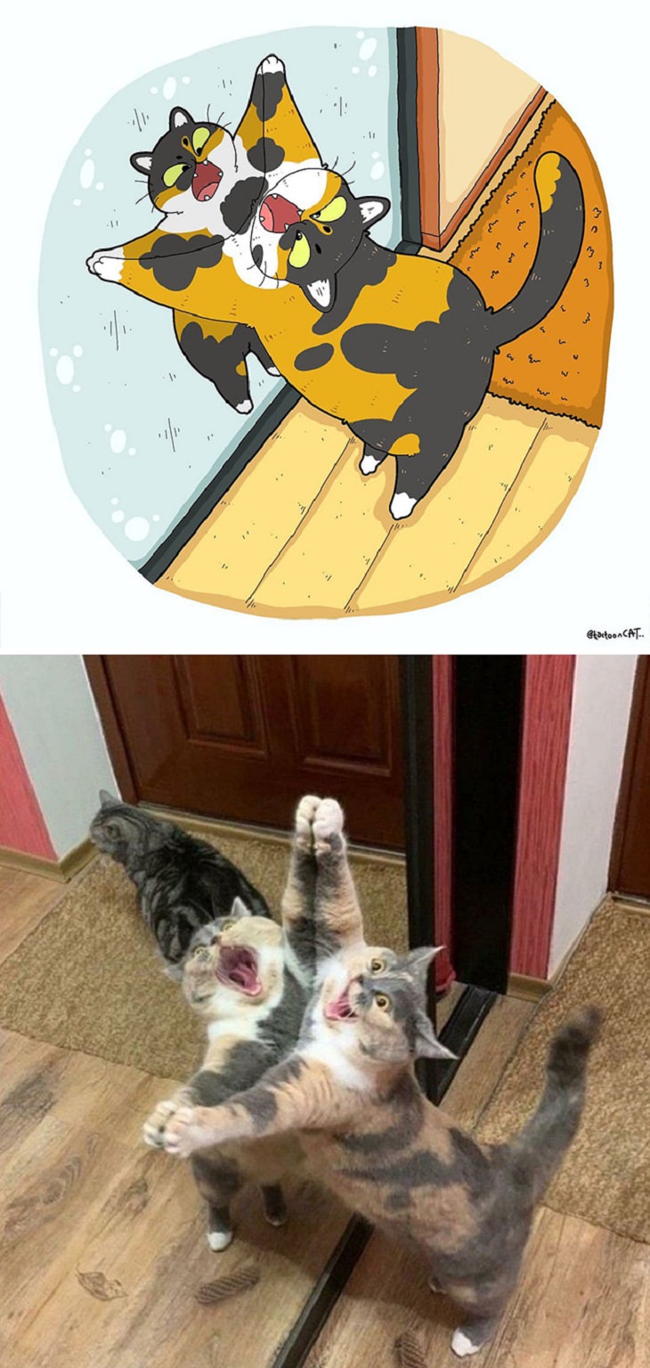Cartoons of famous funny internet cats by Indonesian artist Tactooncat, Illustration and picture of a cat hugging its own reflection in a mirror