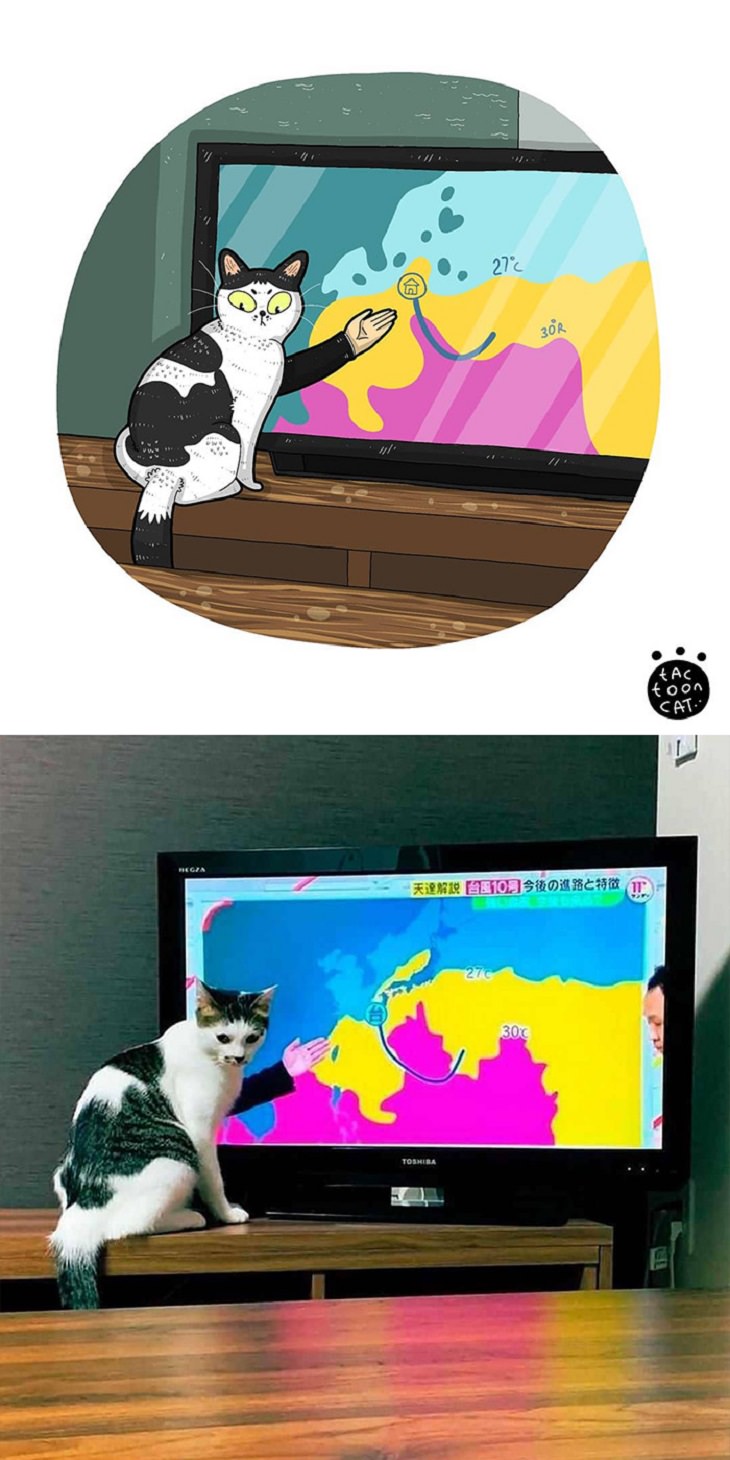 Cartoons of famous funny internet cats by Indonesian artist Tactooncat, Illustration and picture of a cat in front of TV screen with bright colors displayed