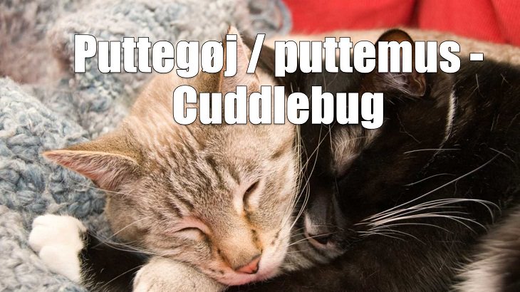 Weird yet cute terms of endearment and pet names for loved ones in different foreign languages, Danish, Puttegøj / puttemus - Cuddlebug