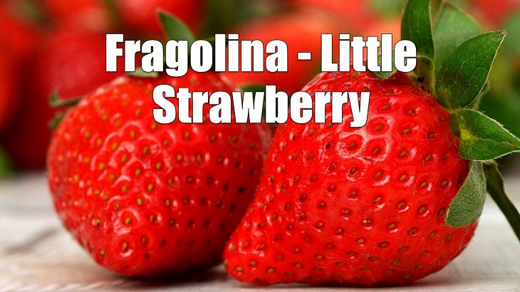 Weird yet cute terms of endearment and pet names for loved ones in different foreign languages, Italian, Fragolina - Little Strawberry