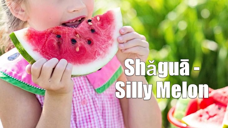 Weird yet cute terms of endearment and pet names for loved ones in different foreign languages, Mandarin, Shǎguā - Silly Melon