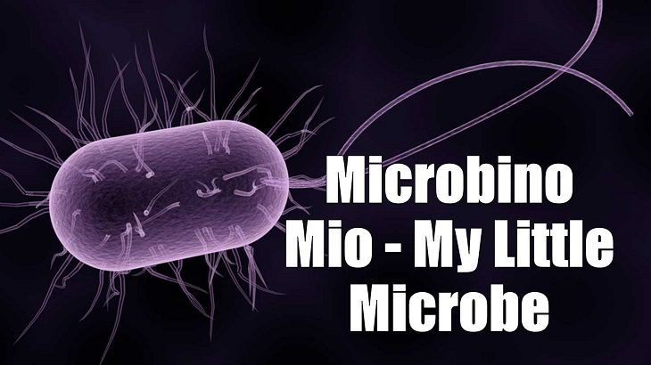 Weird yet cute terms of endearment and pet names for loved ones in different foreign languages, Italian, Microbino Mio - My Little Microbe