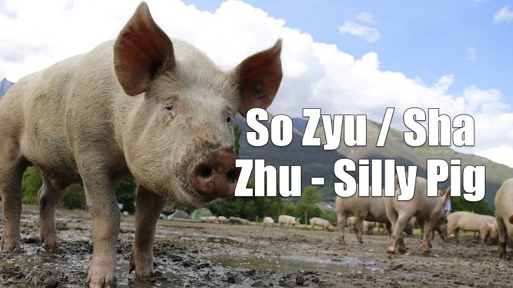 Weird yet cute terms of endearment and pet names for loved ones in different foreign languages, Cantonese, So Zyu / Sha Zhu - Silly Pig