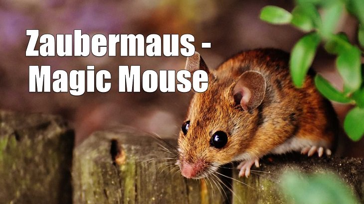 Weird yet cute terms of endearment and pet names for loved ones in different foreign languages, German, Zaubermaus - Magic Mouse