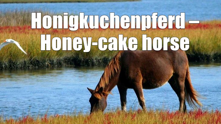 Weird yet cute terms of endearment and pet names for loved ones in different foreign languages, German, Honigkuchenpferd – Honey-cake horse