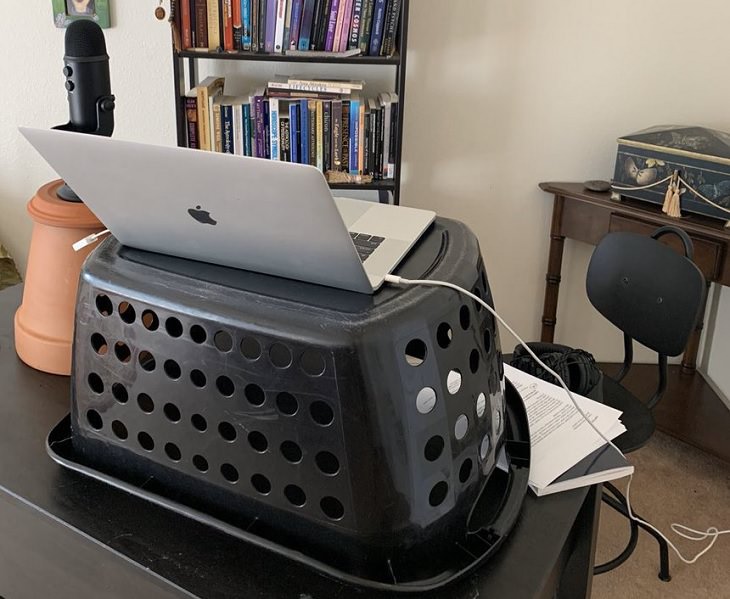 Funny improvised and makeshift work from home (wfh) workspaces and workstations, laundry basket used as a laptop desk and potted plant used to hold microphone