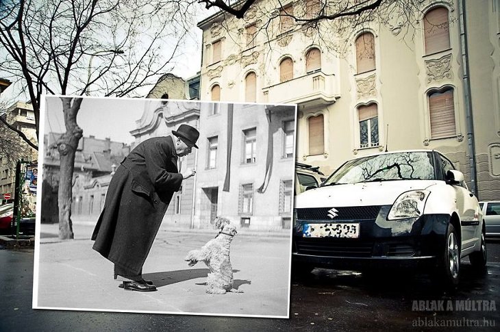Photo Series titled “Ablak a múltra”, or “Window to the Past” by Hungarian Photographer Zoltán Kerényi, displaying from archived photographs of 20th century Budapest in the same location in the 21st century, large tall man with a small dog. On Knézich Street in Bakáts Square, 1952 - 2013