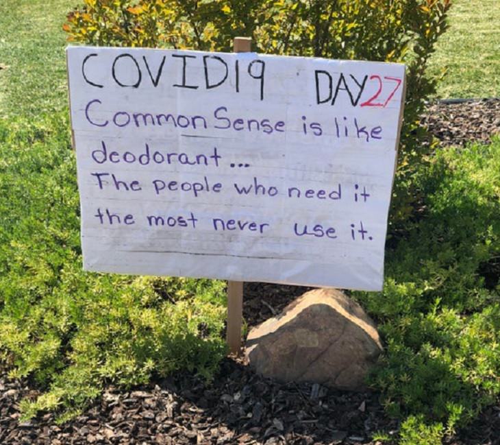 Funny signs related to the quarantine and lockdown caused by the COVID-19 (coronavirus) pandemic, small sign in a bush that says “COVID19, Day 27. Common sense is like deodorant. The people who need it the most never use it.”