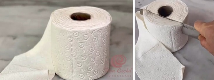 Realistic and Delicious cake art by Turkish chef Tuba Gelick, Toilet paper cake