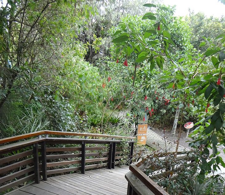 Photo gallery of the Quito Botanical Garden in Ecuador, Parque La Carolina
