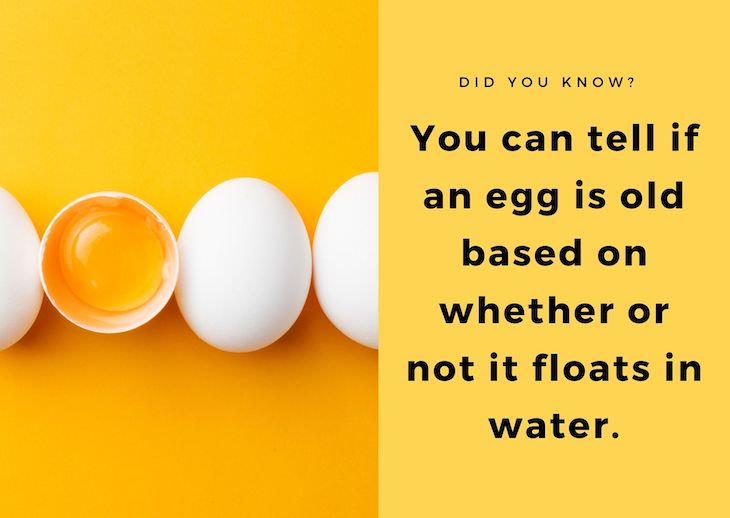 15 Intriguing Facts About the World Around Us, old eggs