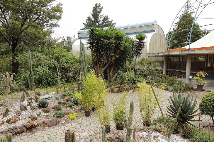 Photo gallery of the Quito Botanical Garden in Ecuador, The Cactus Garden