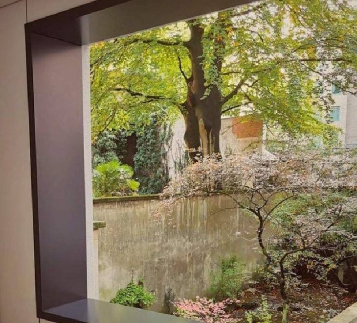 Photographs that will make you look twice or do a double take, View outside a window of some trees and a wall