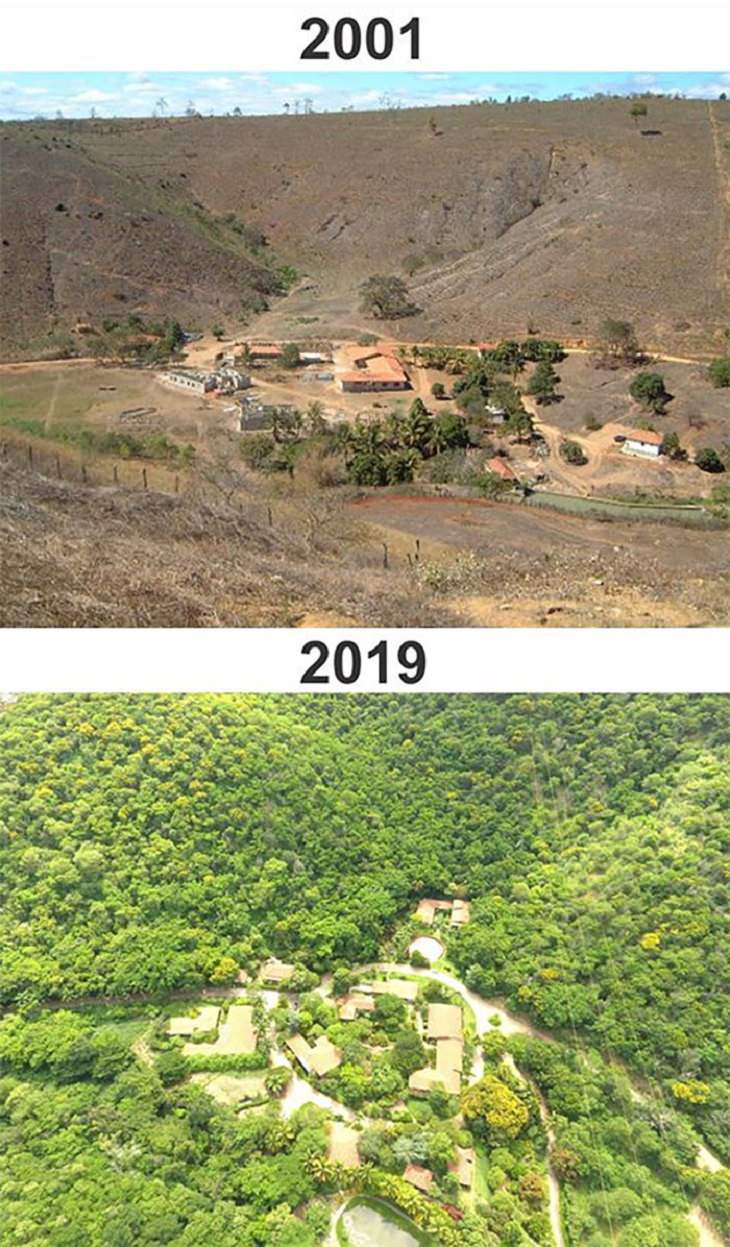 Amazing photographs that show differences, shapes and sizes through comparison, A couple spent nearly 2 decades planting 2 million tree saplings on a deserted piece of land