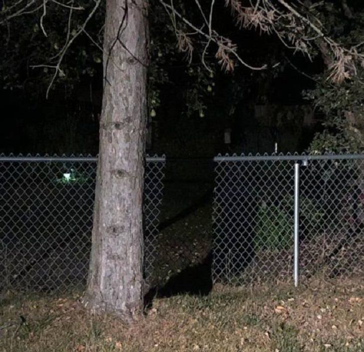 Photographs that will make you look twice or do a double take, Gap in a fence caused by shadow of a tree